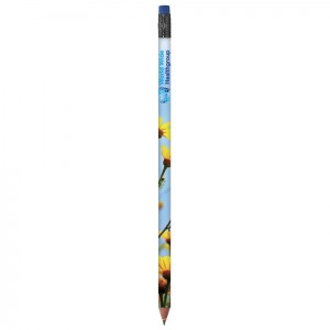 Διαφημιστικό Μολύβι BIC® Evolution® Digital Colour Connection Ecolutions® Pencil
