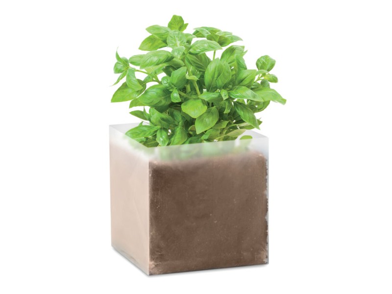 Εταιρικα Δωρα - Basil Plant Axiom the Giftmakers  - axiom-gifts.gr