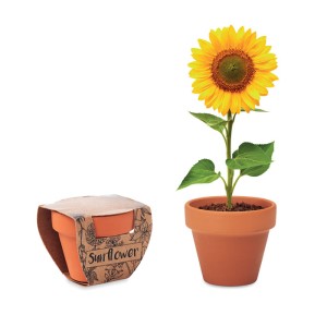 Sunflower Plant Axiom the Giftmakers  - axiom-gifts.gr