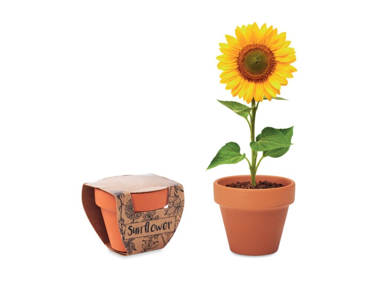 Sunflower Plant Axiom the Giftmakers  - axiom-gifts.gr