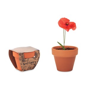 Red poppy Plant Axiom the Giftmakers  - axiom-gifts.gr
