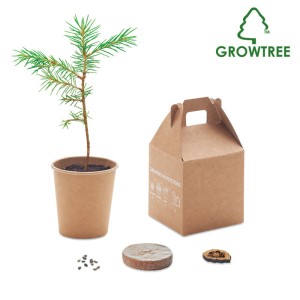 Growtree™ Desk items Axiom the Giftmakers  - axiom-gifts.gr