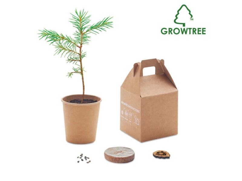 Growtree™ Desk items Axiom the Giftmakers  - axiom-gifts.gr